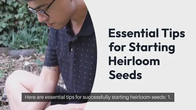 Video thumbnail for Heirloom Seeds Starting Tips
