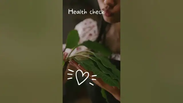 'Video thumbnail for How to Keep Potted Plants Alive 🌱 FREE GUIDE 🌱'