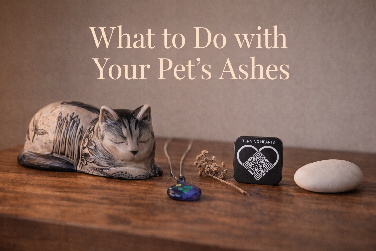 Video thumbnail for What to Do with Your Pet's Ashes After Cremation: Five Options Explained