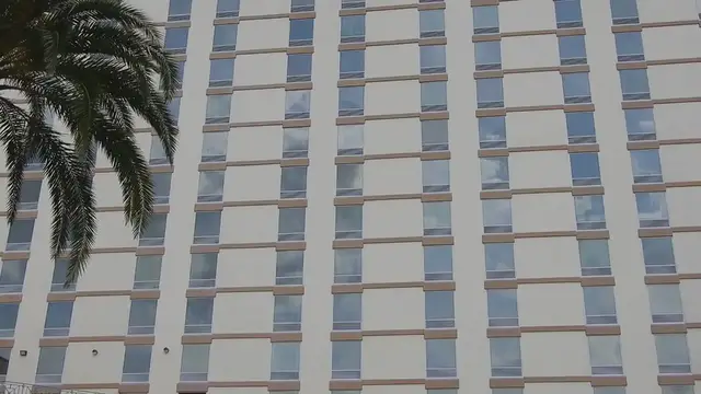 Video thumbnail for Trump wants to cut taxes on Social Security — but it could threaten benefits, experts say