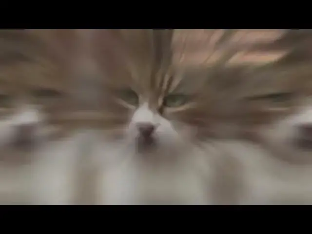 Video thumbnail for Tiggs... He's always done it his way!