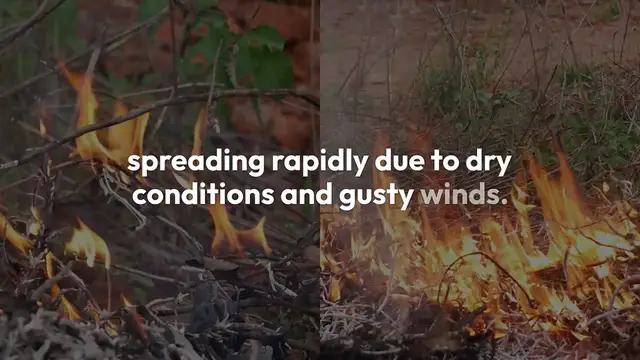 Video thumbnail for Eaton Fire: A Scorcher That Took Us by Surprise