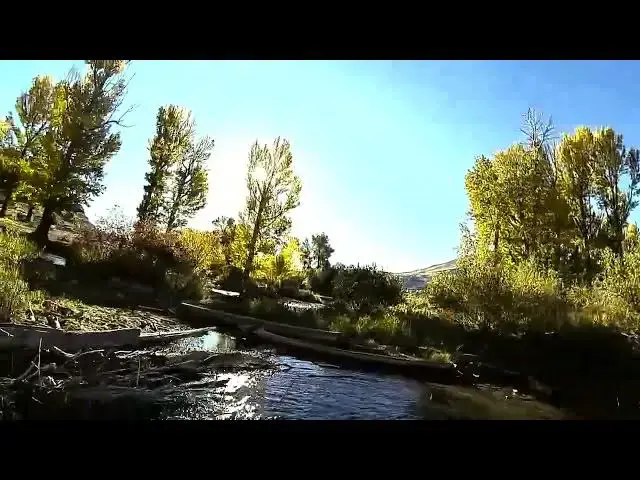 Video thumbnail for Devil Disguised - Cinematic Flight