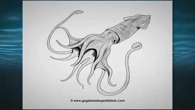 'Video thumbnail for An Ultimate Guide to Tusoteuthis: The Striking Squid'