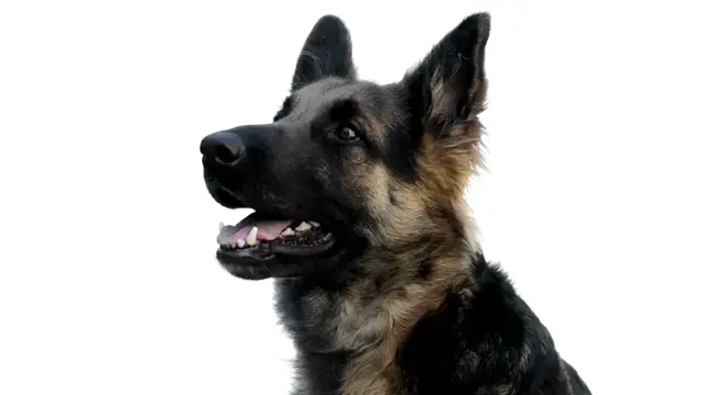 Video thumbnail for 25