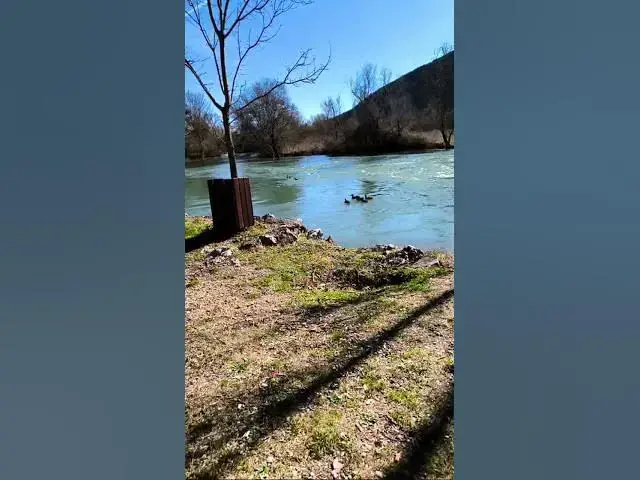 Video thumbnail for Patke na rijeci Trebižat