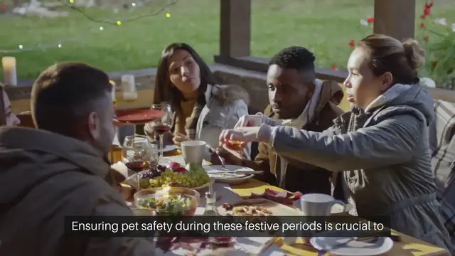 Video thumbnail for Pet Safety During Holidays