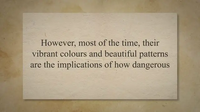 Video thumbnail for Top 15 Elegant but Toxic Animals Around the World.