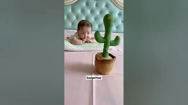 Video thumbnail for Rate the Cactus Toy: Share Your Thoughts!