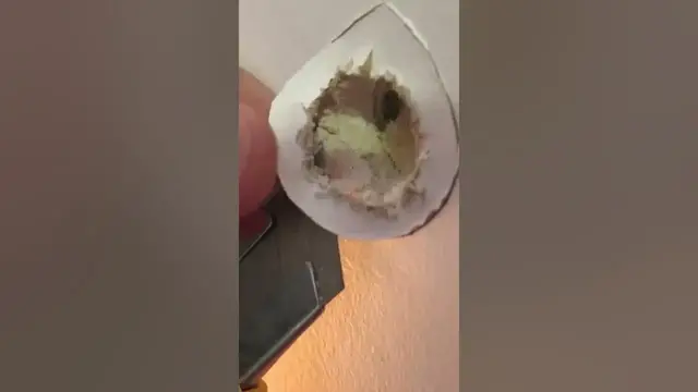 Video thumbnail for Welcome to Bailey Line Road! #shorts