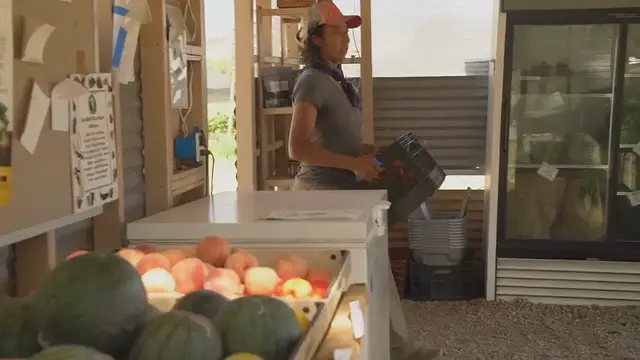 Video thumbnail for Delicious and Healthy Slow Cooker Recipes