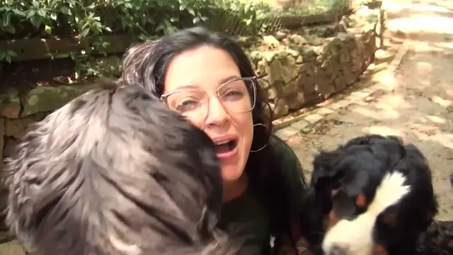 Video thumbnail for Bernese Mountain Dog: Os Guardiões de Rebanho dos Alpes Suíços! 🐾✨