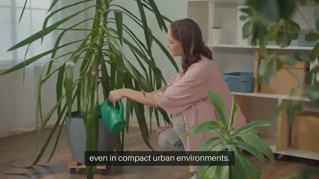 Video thumbnail for Indoor Gardening Window Ledge Plants