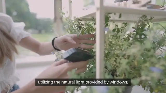 Video thumbnail for Indoor Gardening Window Ledge Unit Garden