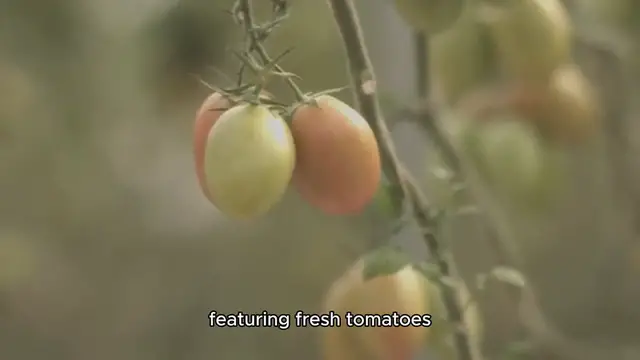 Video thumbnail for Fancy Tomato Sandwiches Recipe