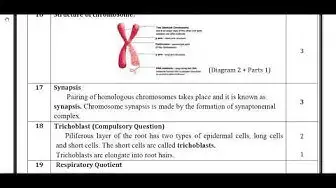 Video thumbnail for 11th Bio-Botany Half Yearly Answer Keys 2018-19 (English Medium) | Team Aspirants