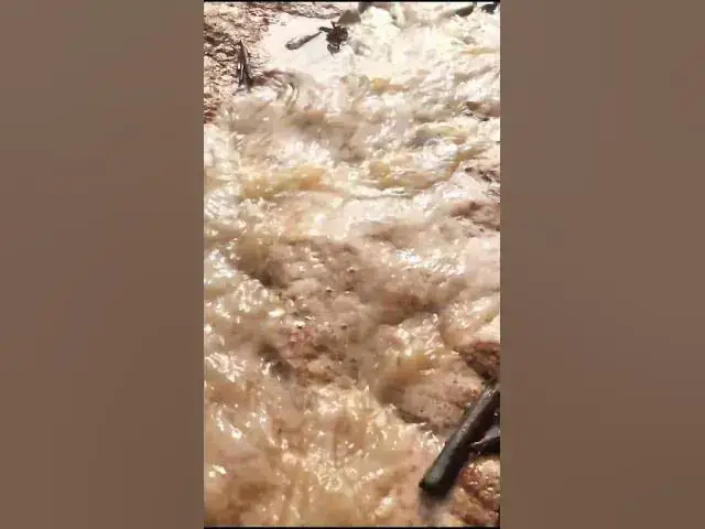 Video thumbnail for Fish Get Up #fishing #fish #fishingvideo