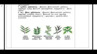 Video thumbnail for 11th Bio-Botany First Mid Term Answer Keys 2019-20 | Namakkal District | Tamil Medium