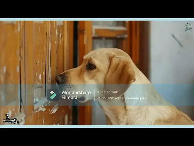 Video thumbnail for How to stop your dog from scratching the door