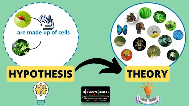 Video thumbnail for Difference between Hypothesis and Theory