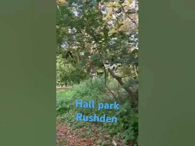 Video thumbnail for Hall park