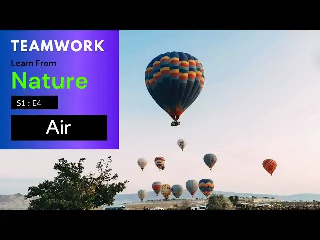 Video thumbnail for Teamwork | Learn from Nature | S1E4 | Air Element
