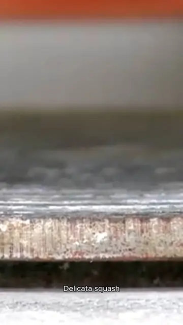 Video thumbnail for Delicata squash recipe