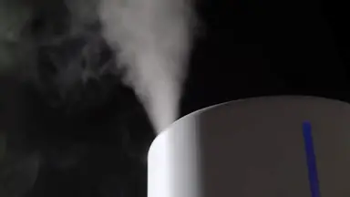 'Video thumbnail for Why You Need a Humidifier This Winter (And How to Tell!)'