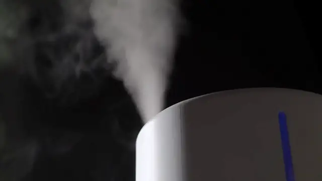 'Video thumbnail for Why You Need a Humidifier This Winter (And How to Tell!)'