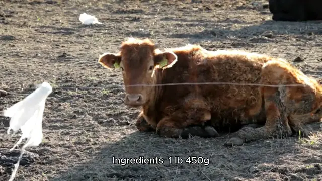 'Video thumbnail for how to make beef tacos'