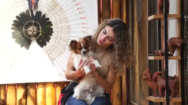 Video thumbnail for 5 Truques Fáceis e Divertidos Para Ensinar ao Seu Cão! 🐾✨