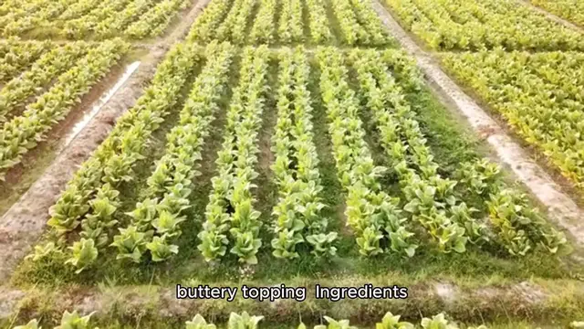 Video thumbnail for rhubarb crisp recipe