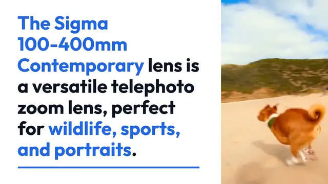 Video thumbnail for Mastering the Sigma 100-400mm Contemporary Lens