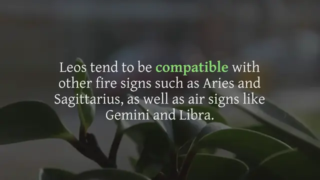 Video thumbnail for Who Should Leo Marry?