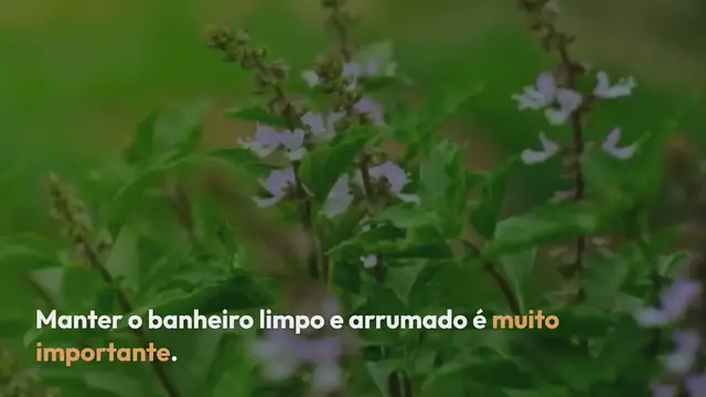 Video thumbnail for Por que é essencial fechar a tampa do vaso sanitário ao dar a descarga?