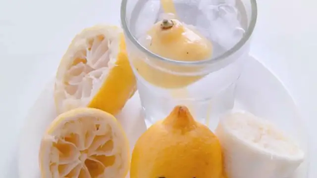 Video thumbnail for happy lemon menu Price