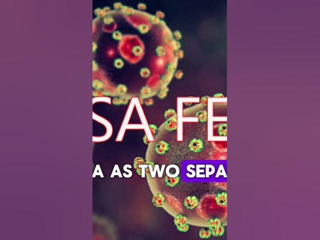 Video thumbnail for North Central Crisis: Plateau Attack Spark Protest as Lassa Fever Kills 10 in Benue #selemediaafrica