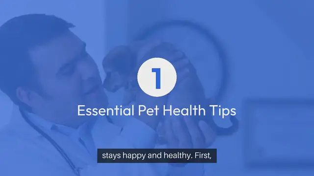 Video thumbnail for Pet Health Tips