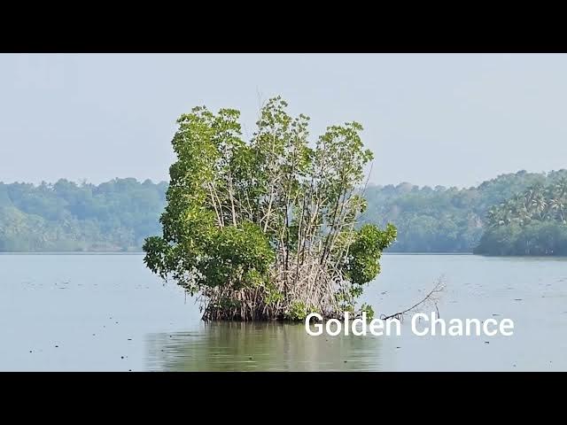 Video thumbnail for Mandrothuruthu island #travel #travelvlog #mandore