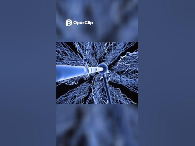 Video thumbnail for Find Truth, Let Go & Trust the Divine Journey