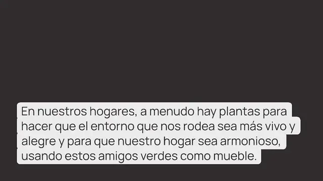 Video thumbnail for Orquídea, raíces fuertes y flores abundantes si lo haces: nadie piensa en ello