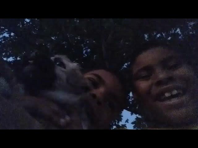 Video thumbnail for hanging out with a dog