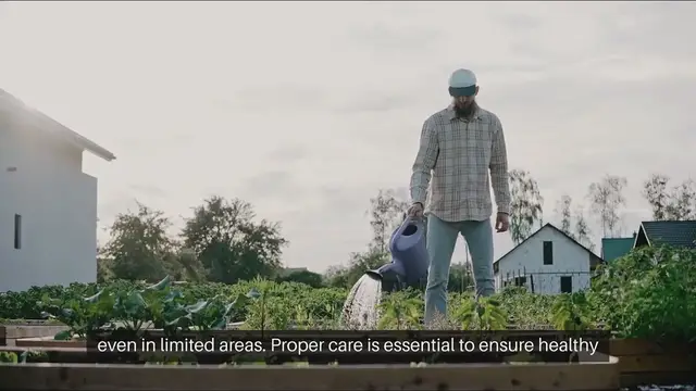 Video thumbnail for Container Fruit Tree Care