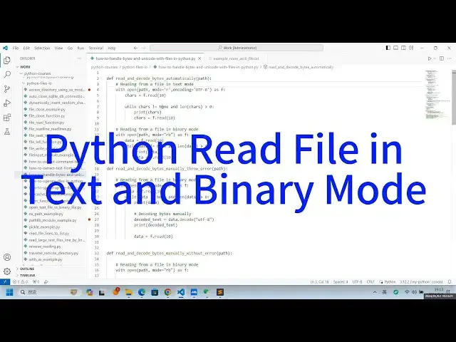 Video thumbnail for How to Read a File in Text and Binary Mode in Python