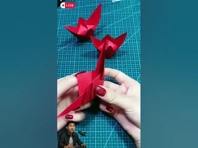 Video thumbnail for ✏️🎀 Anak Bisa Belajar Simetri Lewat Origami Ini!