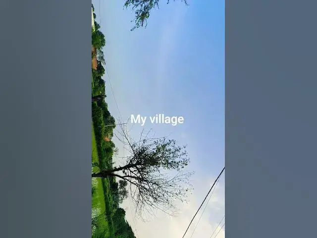 'Video thumbnail for my village nature 馃榾 #myvillage #naturelovers #ilovemyvillage #myfirstblog #nature'