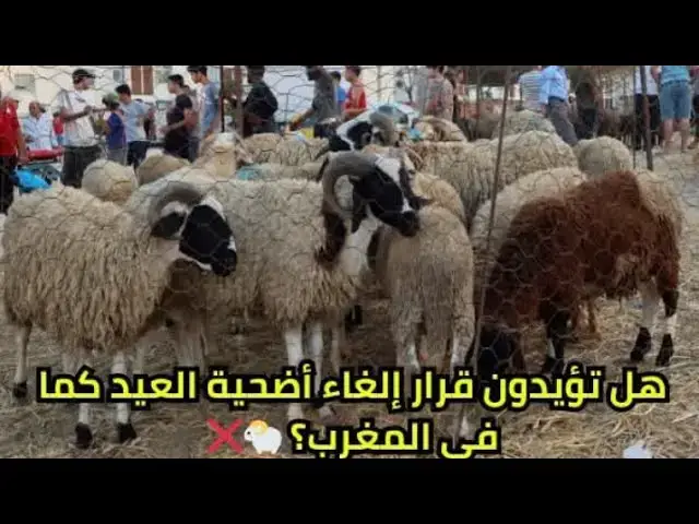 Video thumbnail for #عاجل/   عيد الإضحى ” 2025 هذا العام في تونس...بشرى سارة جدا لجميع المواطنيين ..قرار نهائي.