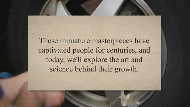 'Video thumbnail for Mastering the Art of Bonsai: A Comprehensive Guide'