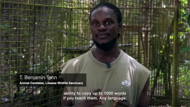 Video thumbnail for rewilding the skies - doc - 2025 - subbed.mp4