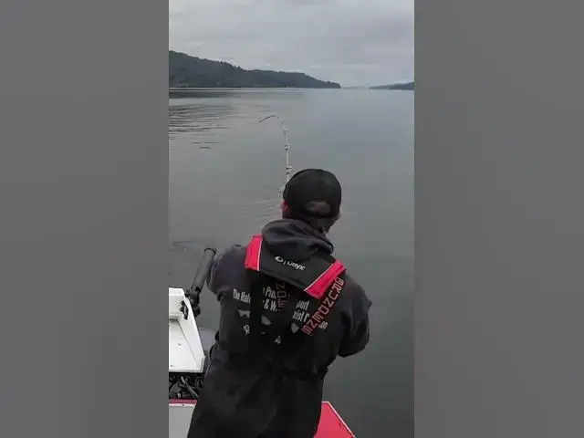 'Video thumbnail for Fish fish fish! Savage chinook salmon take on a presentation / rod meant for pinks.'